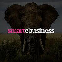 smartebusiness - ecommerce growth specialists