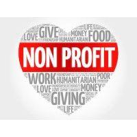 non-profit organization logo image