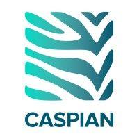 caspian logo image