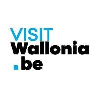 visitwallonia logo image