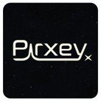 pirxey logo image