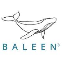 baleen solutions logo image