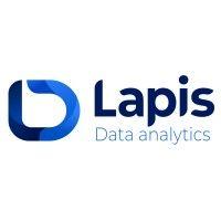 lapis data analytics logo image