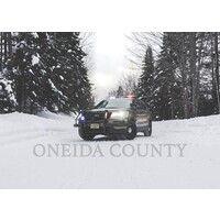 oneida county logo image