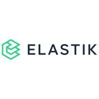 elastik teams logo image