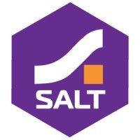 salt group logo image