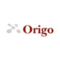 origo partners plc logo image