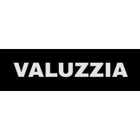 valuzzia logo image