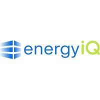 energy iq group, llc