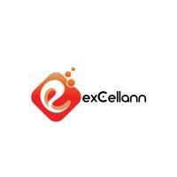 excellann services logo image