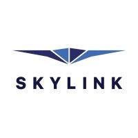 skylink logo image