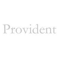 provident capital partners logo image