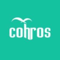 cohros - tecnologia e desenvolvimento organizacional logo image