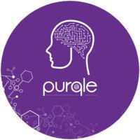 purqle llc. logo image