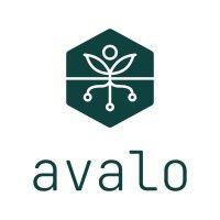 avalo, inc logo image