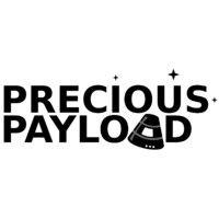 precious payload logo image