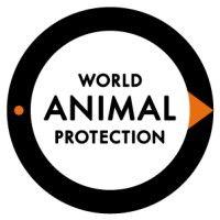 world animal protection australia logo image