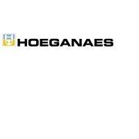 hoeganaes logo image