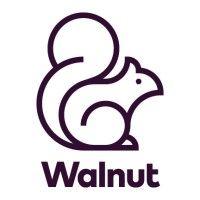 walnut