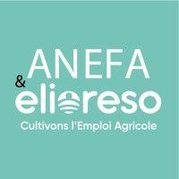 elioreso- anefa 49