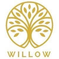 willow-ics ltd. logo image