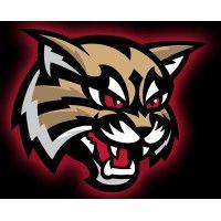 highland wildcats logo image