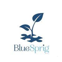 bluesprig logo image