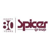 spicer group logo image