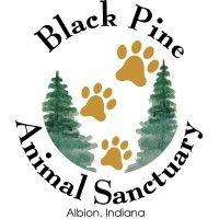 black pine animal sanctuary