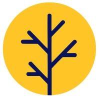 yellow wood academy logo image