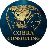 cobra consulting logo image