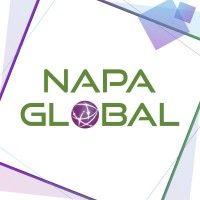 napa global logo image