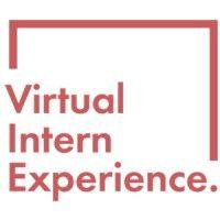 virtual intern experience logo image