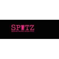 spitz mediterranean street food logo image