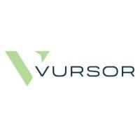 vursor logo image