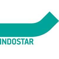 indostar capital finance ltd. logo image