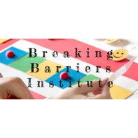 breaking barriers institute logo image