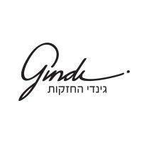 gindi holdings ltd.