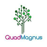 quadmagnus infotech logo image