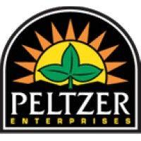 peltzer enterprises logo image