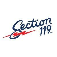 section 119 logo image