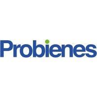 probienes logo image