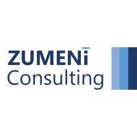 zumeni consulting logo image