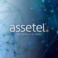 assetel logo image