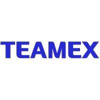 teamex corp logo image