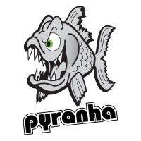 pyranha mouldings ltd. logo image