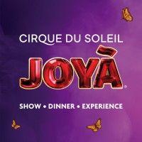 cirque du soleil joyà logo image