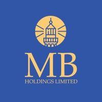 mount beacon holdings logo image