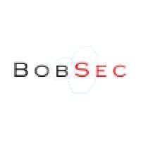 bobsec - cyber & information security consulting logo image