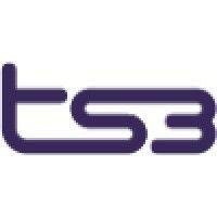 ts3 logo image